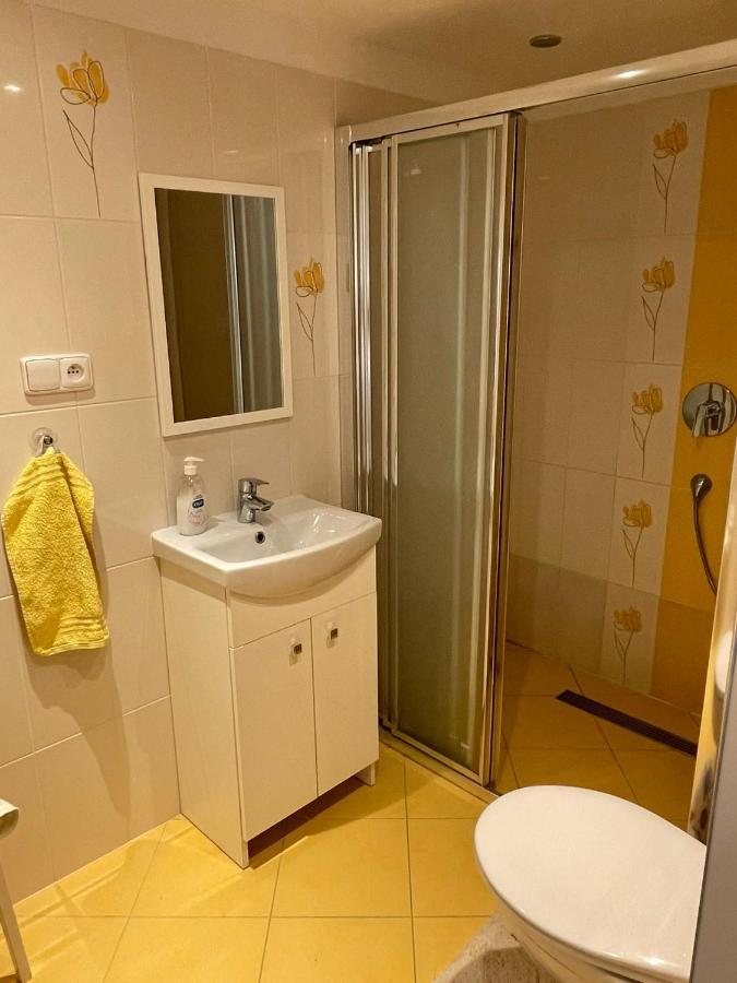 Apartmán v podhůří Jizerských hor Zelezny Brod Exterior foto